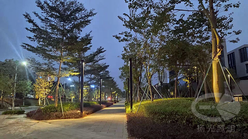 東莞中集智谷產業(yè)園景觀照明工程夜景圖